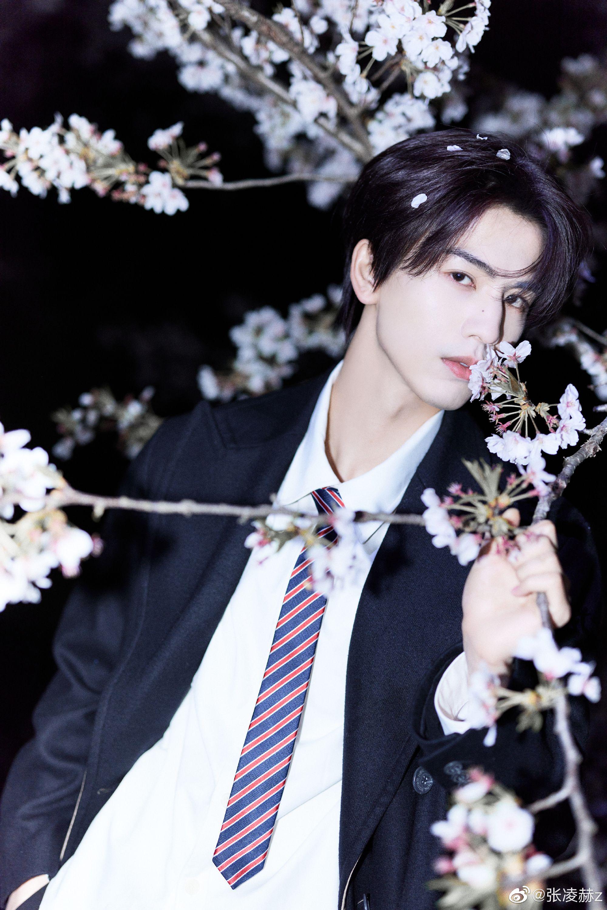 张凌赫晒无锡樱花随拍～ 衬衫领带大衣,好帅好有型!