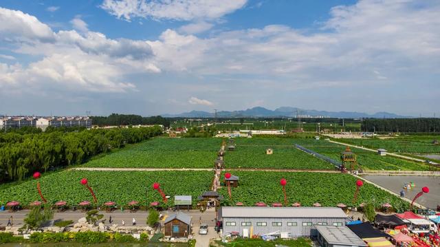 “一墩难求”?济南这对硕大号“冰墩墩”、“雪容融”火了!更火了这个物华天宝的打卡地!休闲区蓝鸢梦想 - Www.slyday.coM “一墩难求”?济南这对硕大号“冰墩墩”、“雪容融”火了!更火了这个物华天宝的打卡地!休闲区蓝鸢梦想 - Www.slyday.coM