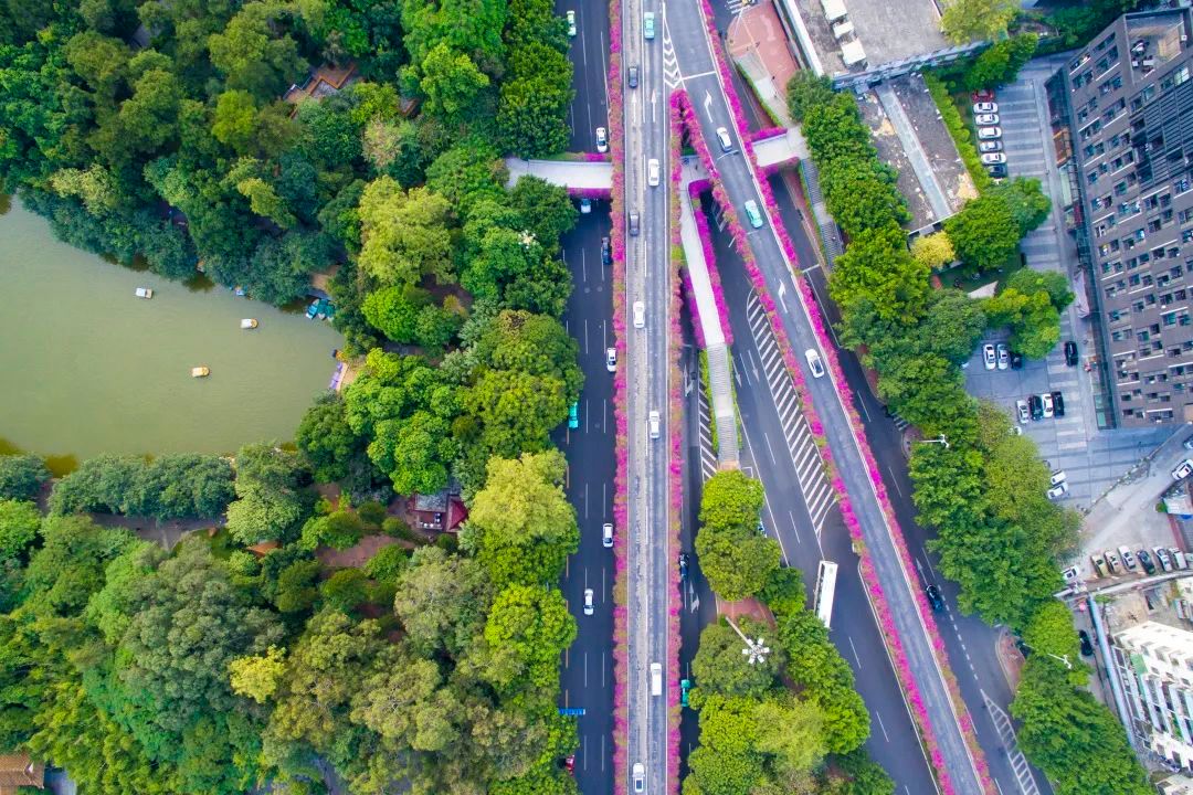 广州七百里空中花廊彩装喜迎建党百年