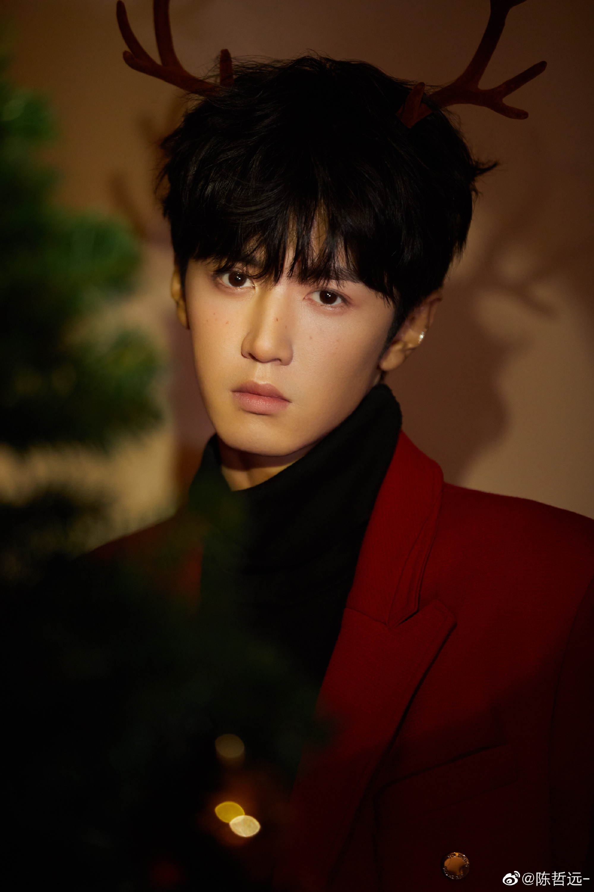 陈哲远圣诞大片,这是谁的可爱小麋鹿!_高清图集_新浪网