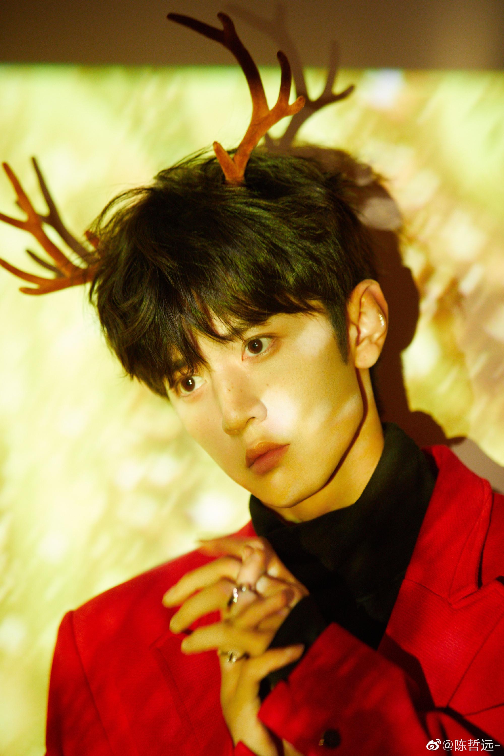 陈哲远圣诞大片,这是谁的可爱小麋鹿!__财经头条