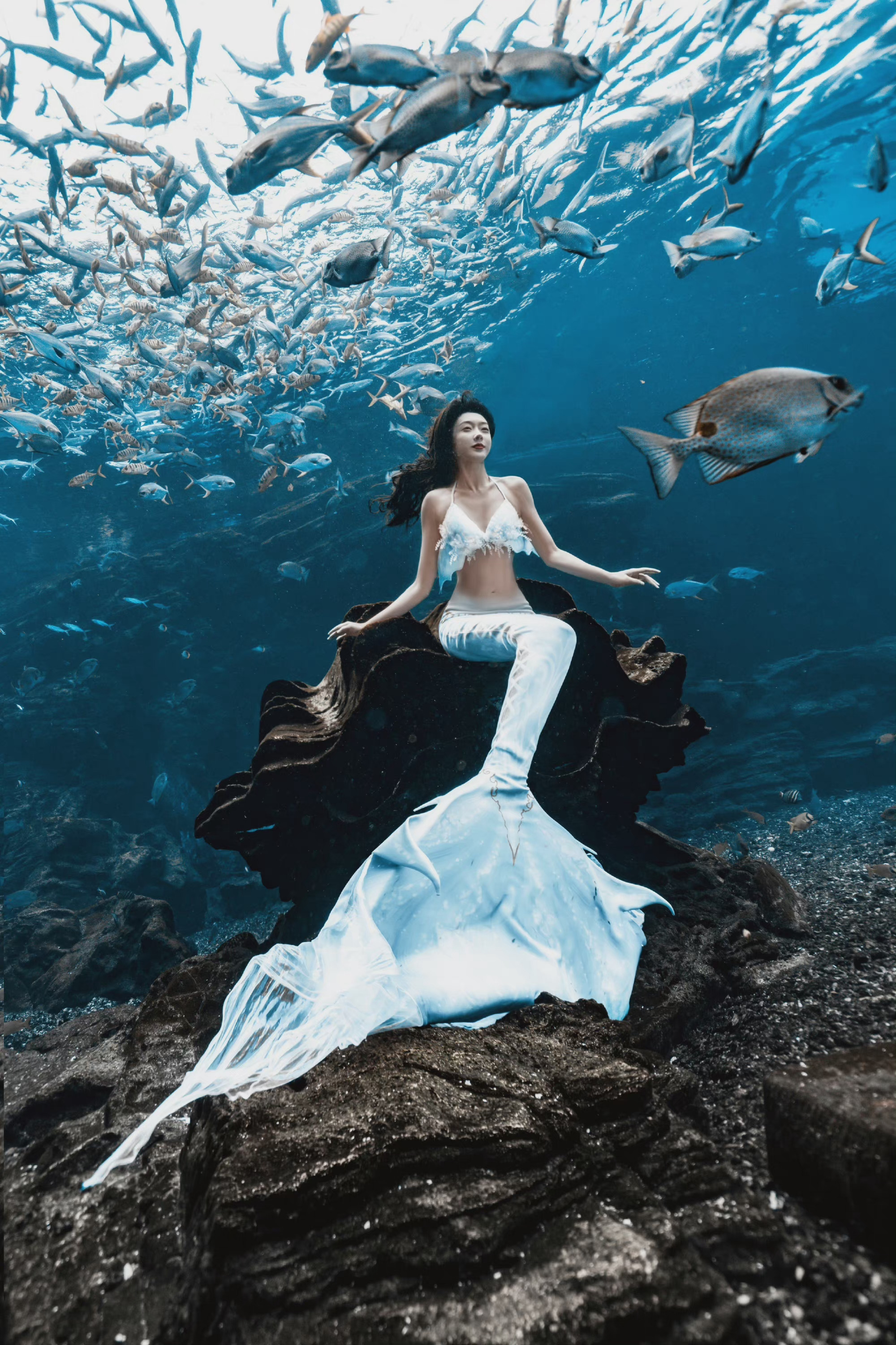 宣璐美人鱼大片,自在灵动,美轮美奂……__财经头条