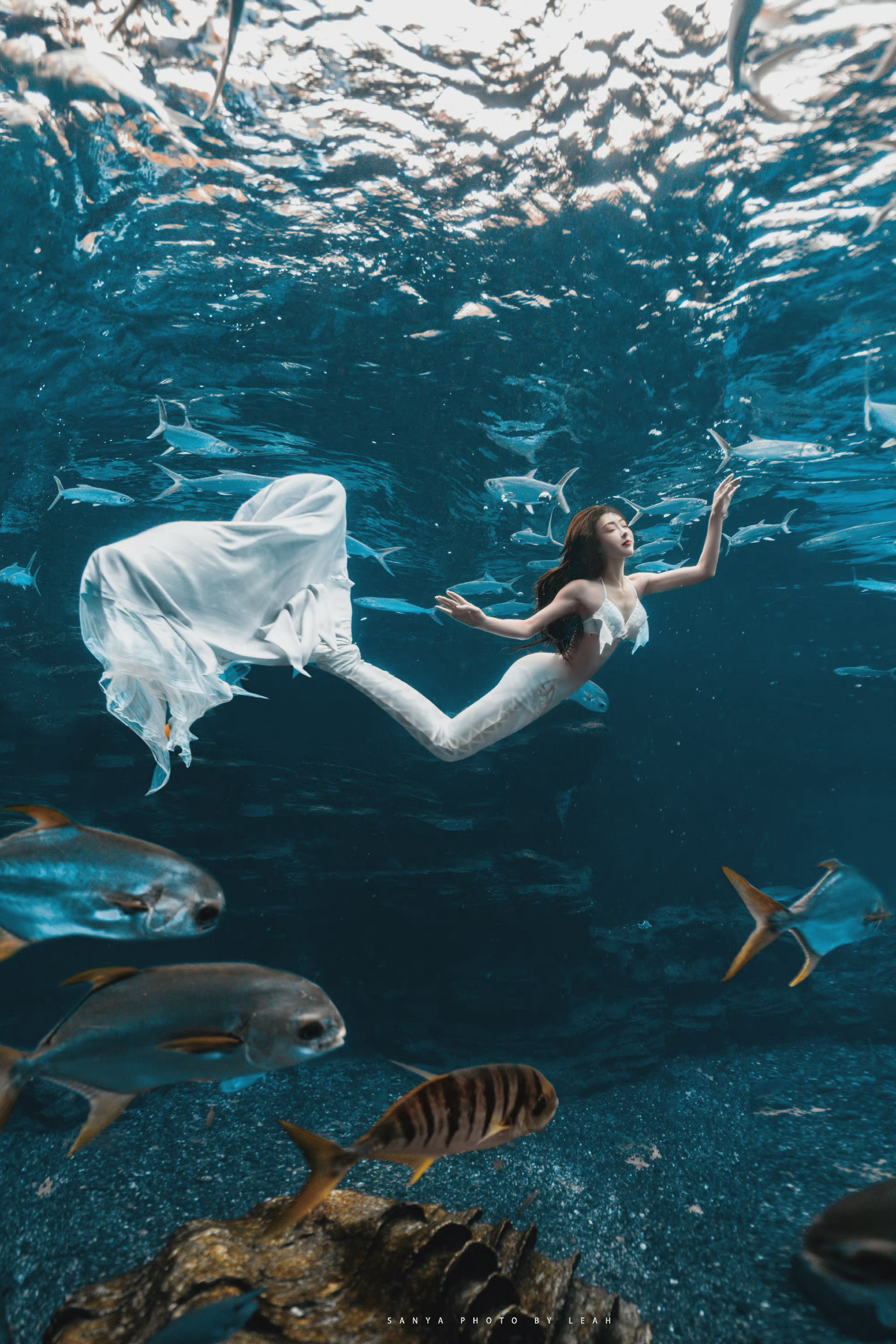宣璐美人鱼大片,自在灵动,美轮美奂……__财经头条
