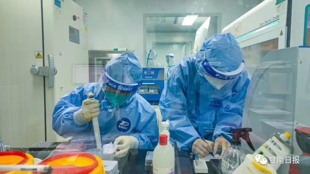「疫情防控 甘南在行动」我们用爱一起守护——甘南州人民医院核酸检测实验室工作扫描休闲区蓝鸢梦想 - Www.slyday.coM