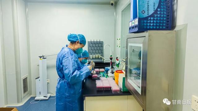 「疫情防控 甘南在行动」我们用爱一起守护——甘南州人民医院核酸检测实验室工作扫描休闲区蓝鸢梦想 - Www.slyday.coM