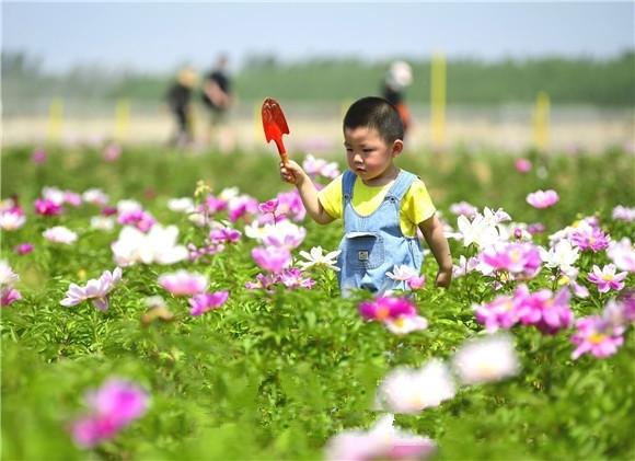 六一·儿童节｜愿你童心未泯，童颜永存，一切皆甜休闲区蓝鸢梦想 - Www.slyday.coM