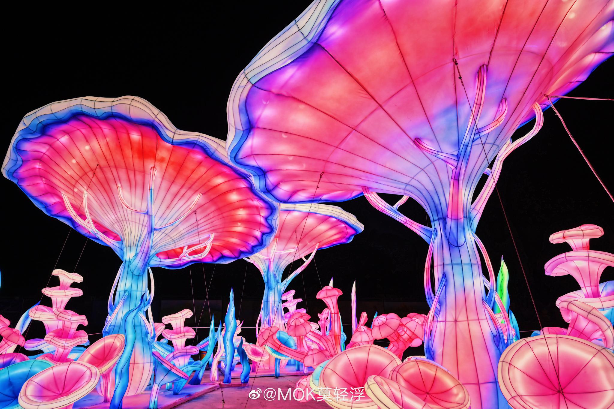 寰宇美食,从大使环礁湖到失落的空间水族馆,从缤纷水世界到精彩纷呈的