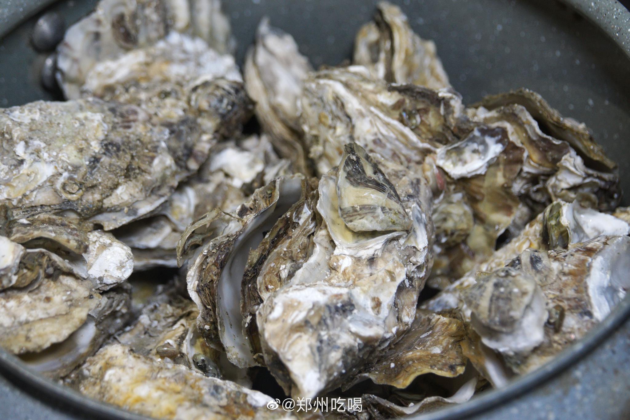 plus版蚝王来耗英雄啦