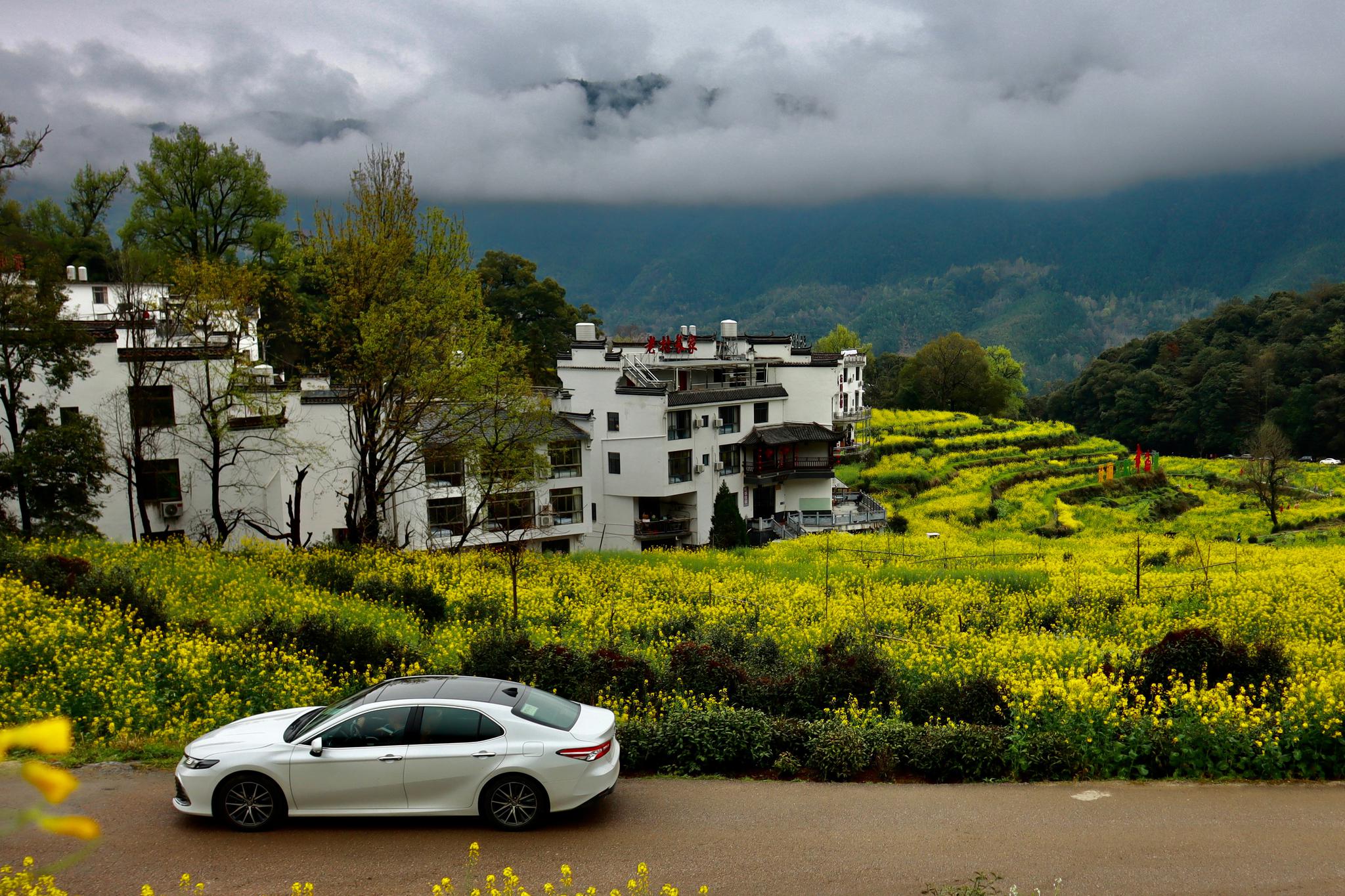 等闲认得东风面,各种颜sǎi都是春