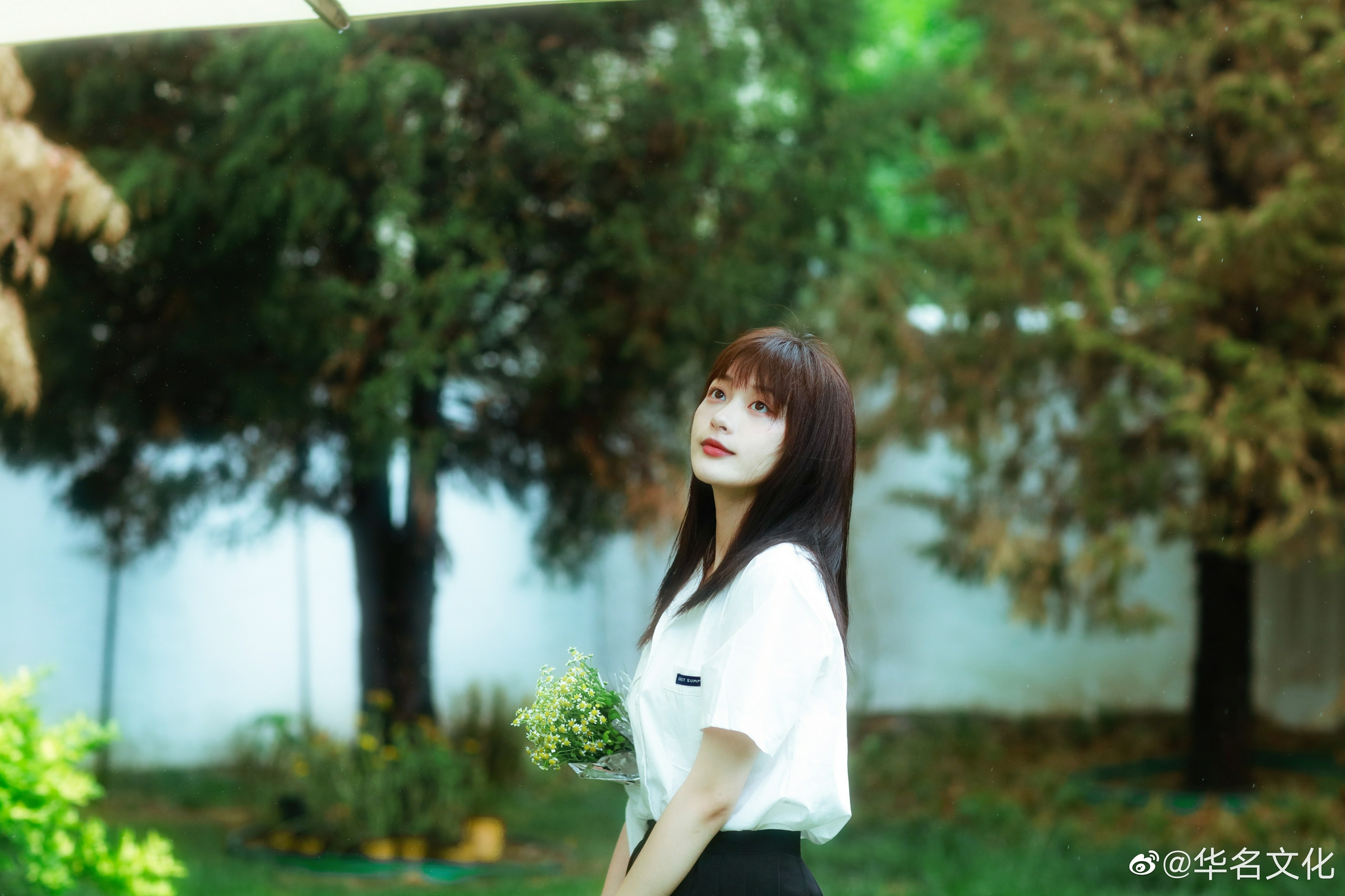 蓝港辰熙 | 演员 李澳 97 清新自在 漫行色彩遐想 97 93