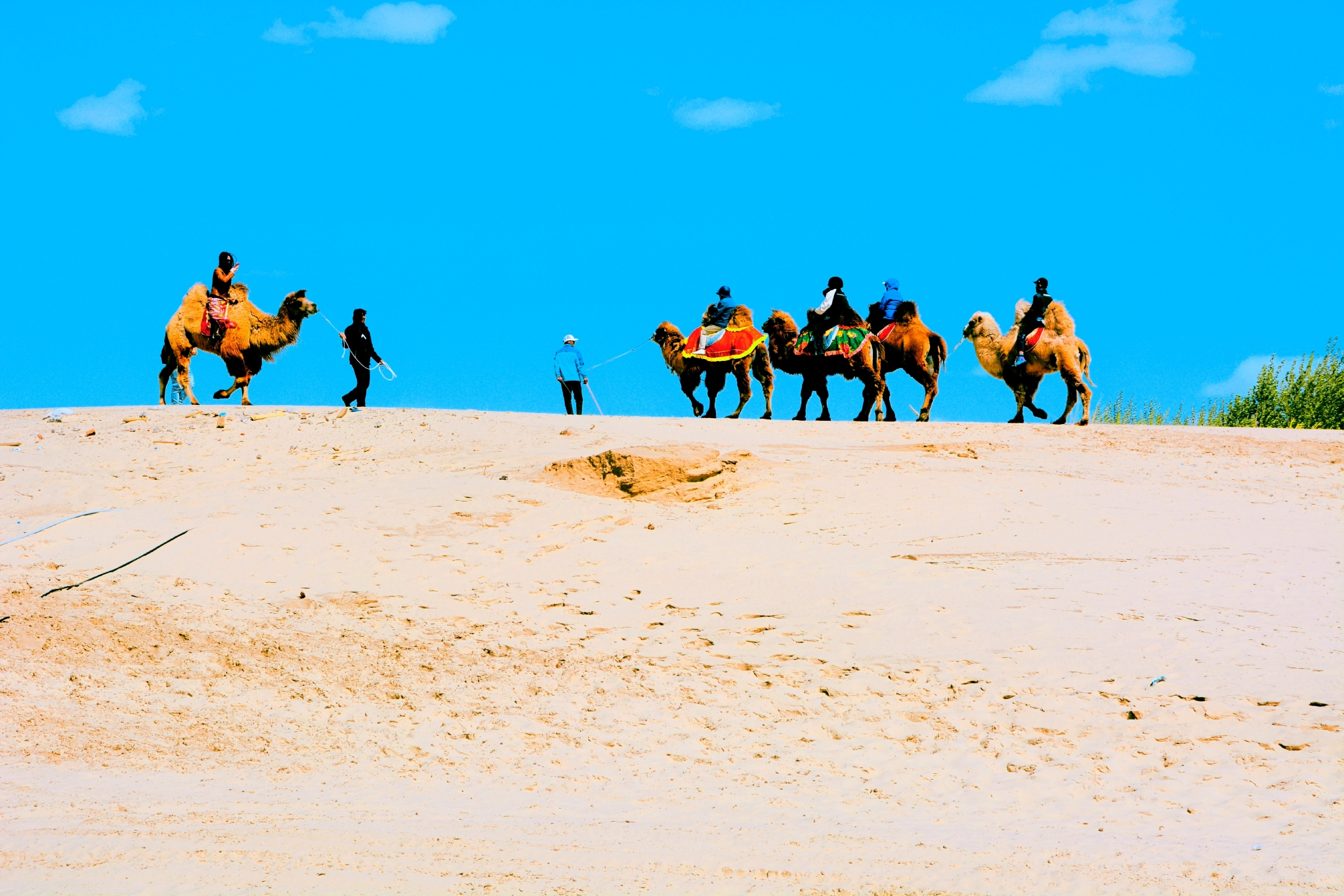 通辽市库伦旗银沙湾沙漠骆驼原创拍摄