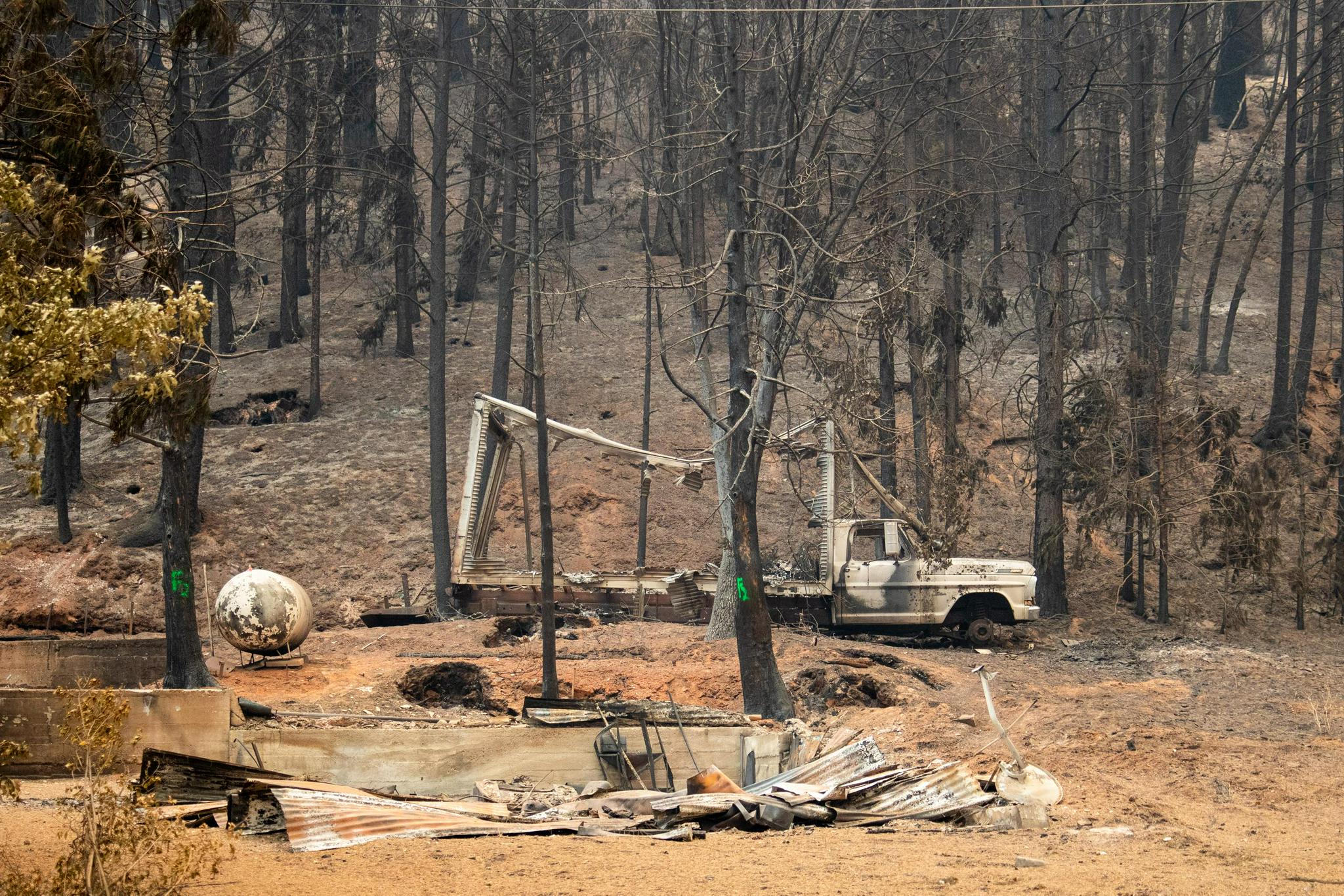 (国际)美国加州:"迪克西"山火肆虐|美国加州|迪克西|山火_新浪新闻