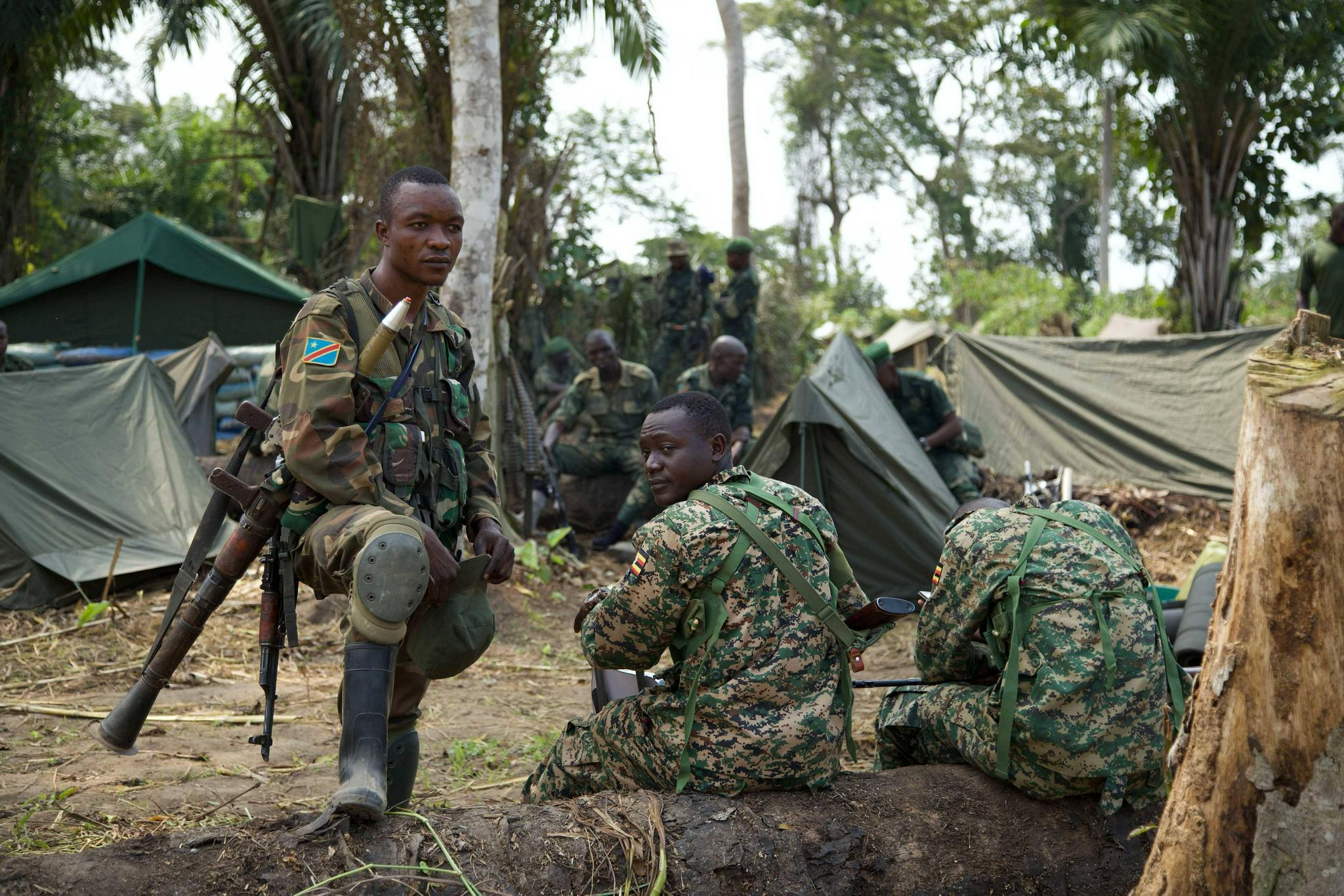 刚果同乌干达采取联合军事行动打击武装团伙|乌干达|刚果|新华社_新浪