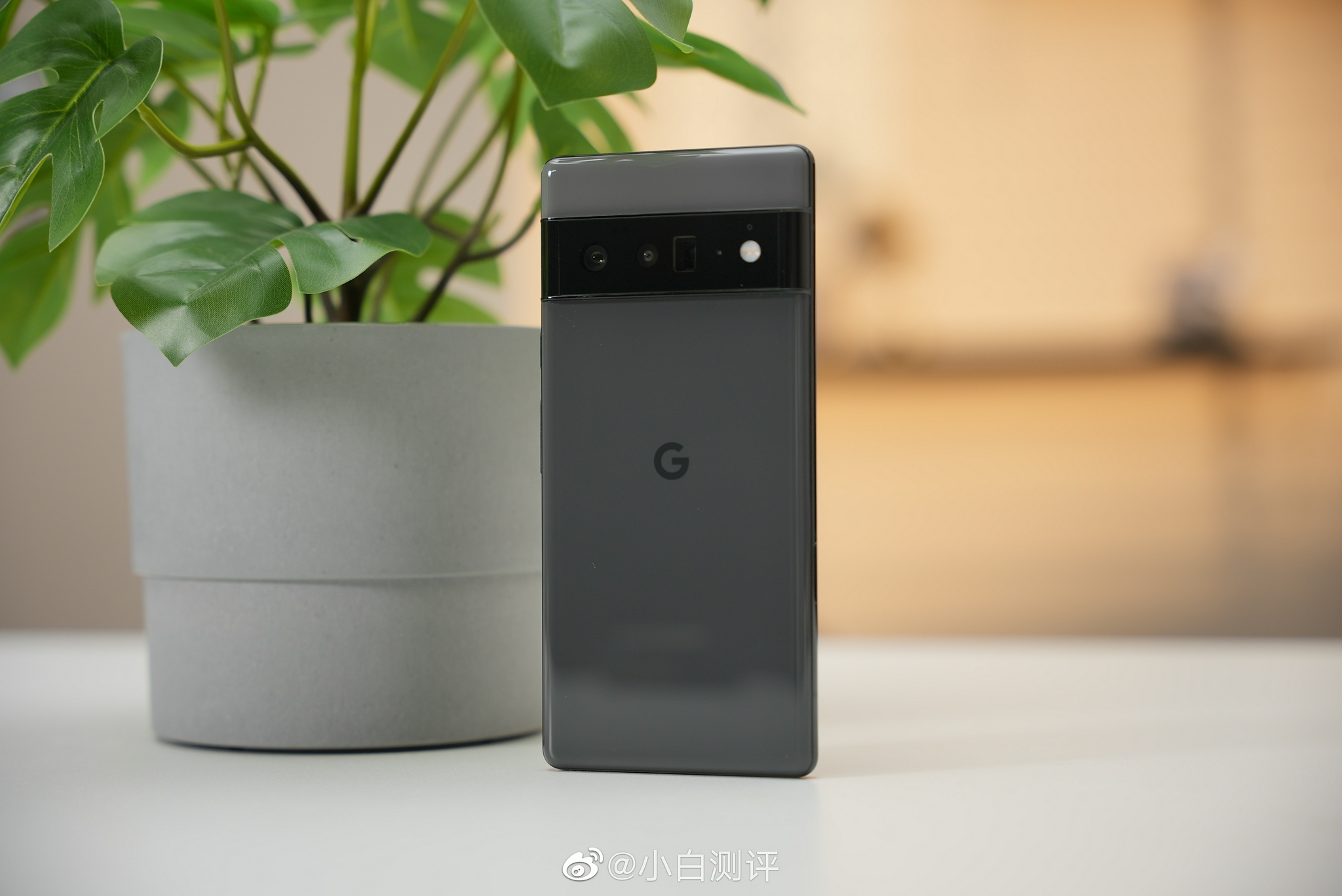 谷歌pixel 6 pro图赏 小白测评真机实拍 pixel 6……__财经头条