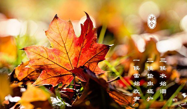 秋分吃什么传统食物?8种传统食物不要错过休闲区蓝鸢梦想 - Www.slyday.coM 秋分吃什么传统食物?8种传统食物不要错过休闲区蓝鸢梦想 - Www.slyday.coM