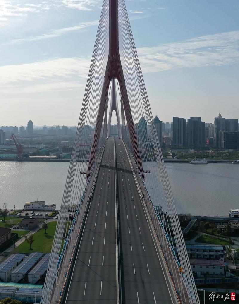 今天 好好端详黄浦江上的3座桥 黄浦江 上海 浦西 新浪新闻 今天 好好端详黄浦江上的3座桥 黄浦江 上海 浦西 新浪新闻