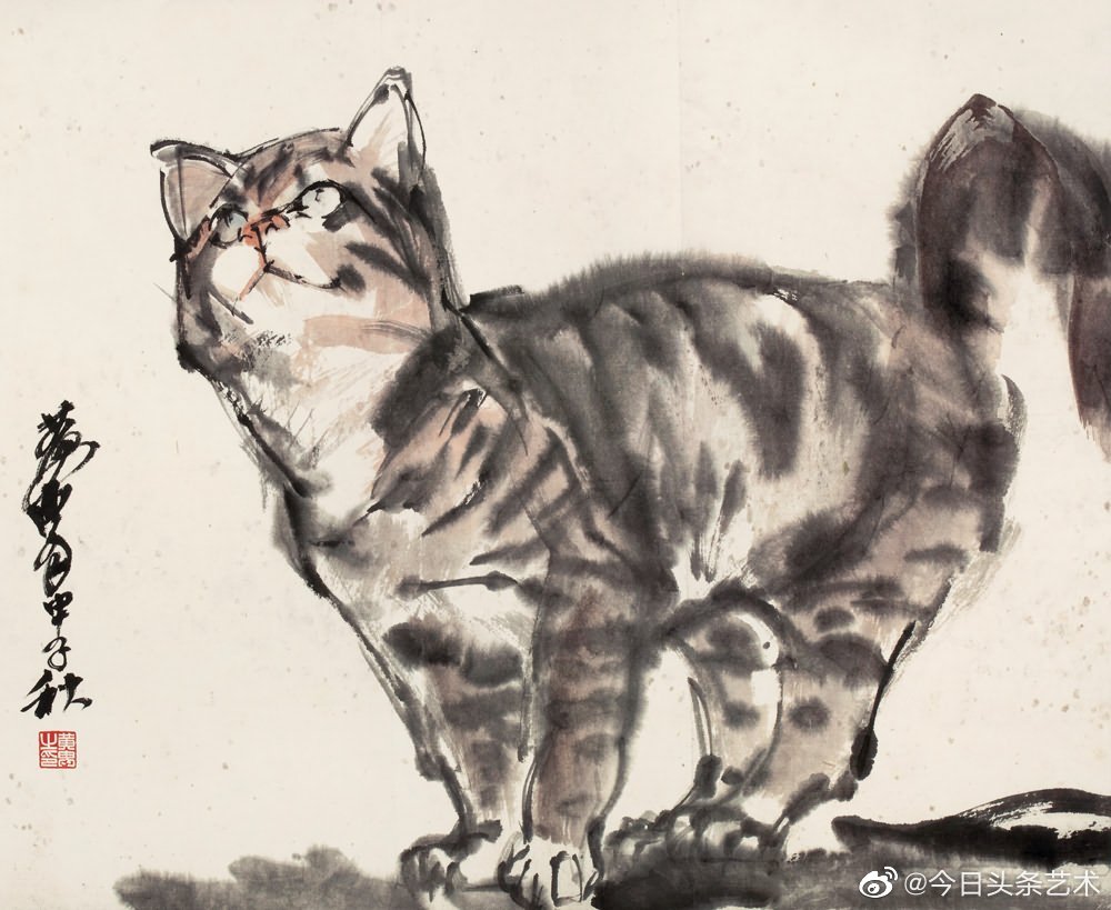 画家黄胄画猫