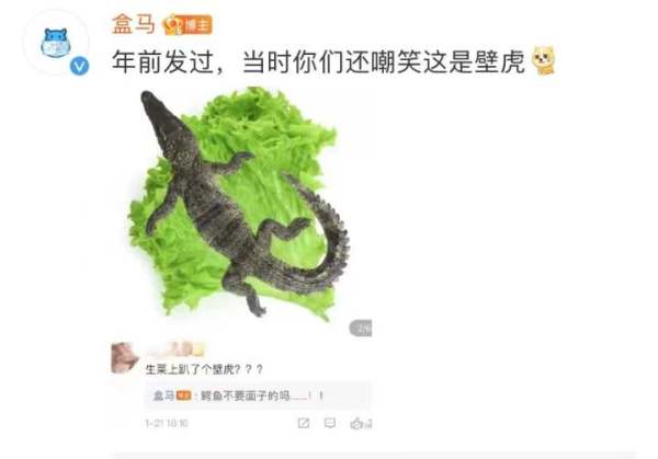 太吓人！网传送到家的鳄鱼被砍后复活？盒马最新回应……休闲区蓝鸢梦想 - Www.slyday.coM