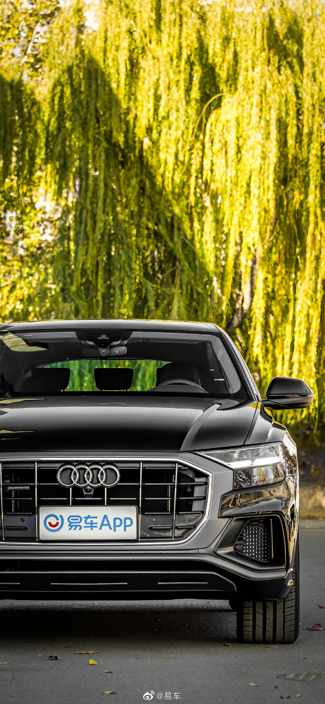 易车精选壁纸——2021款 奥迪q8,欢迎需要的小伙伴自取