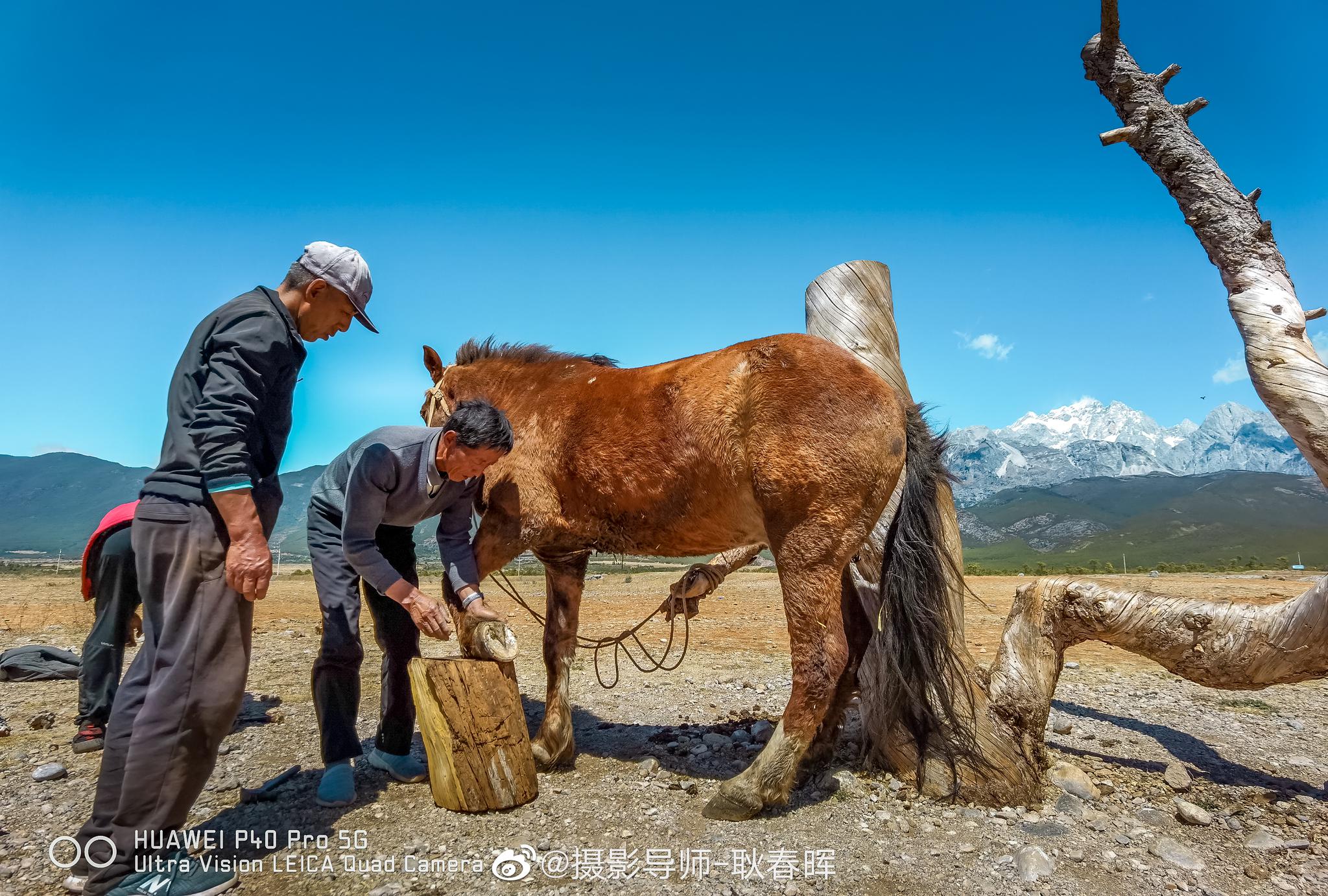 喂马劈柴周游世界@华为终端官方微博 @华为何刚 @余承东 @花粉助手小e