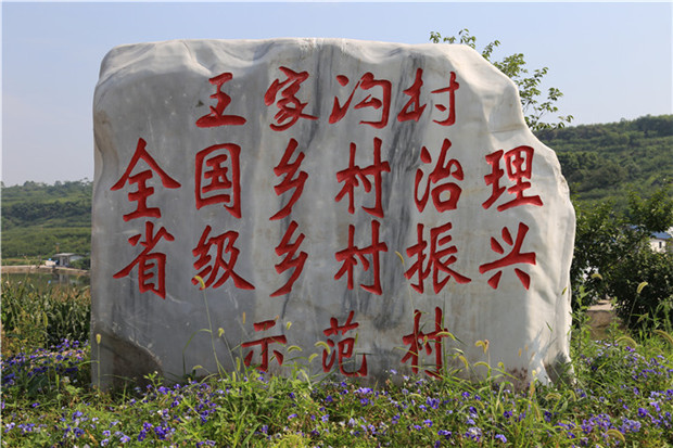 王家沟村的华丽蝶变|王家沟|乡村|张健_新浪新闻