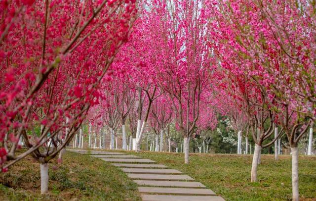 “一墩难求”?济南这对硕大号“冰墩墩”、“雪容融”火了!更火了这个物华天宝的打卡地!休闲区蓝鸢梦想 - Www.slyday.coM “一墩难求”?济南这对硕大号“冰墩墩”、“雪容融”火了!更火了这个物华天宝的打卡地!休闲区蓝鸢梦想 - Www.slyday.coM