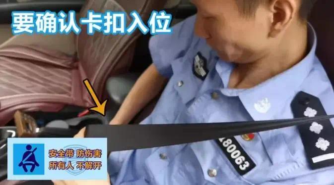 小小安全带 时时有保障 两车相撞人无碍休闲区蓝鸢梦想 - Www.slyday.coM