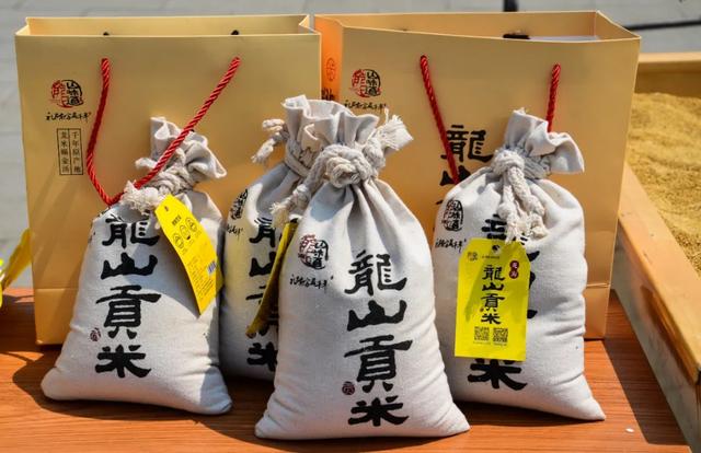 “一墩难求”?济南这对硕大号“冰墩墩”、“雪容融”火了!更火了这个物华天宝的打卡地!休闲区蓝鸢梦想 - Www.slyday.coM “一墩难求”?济南这对硕大号“冰墩墩”、“雪容融”火了!更火了这个物华天宝的打卡地!休闲区蓝鸢梦想 - Www.slyday.coM