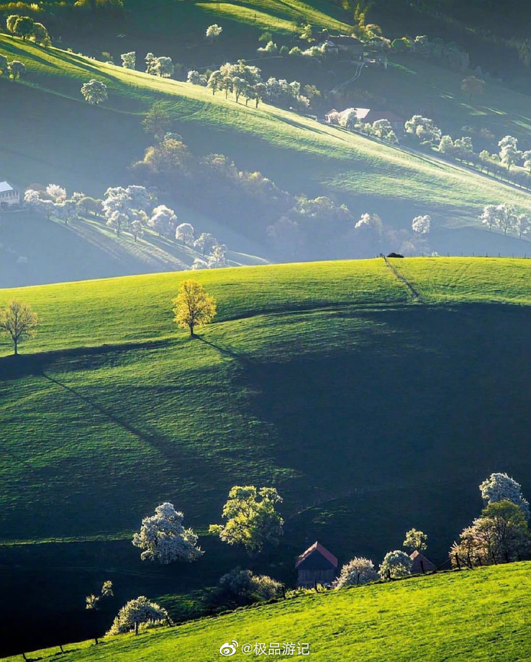 奥地利的草原美景_高清图集_新浪网