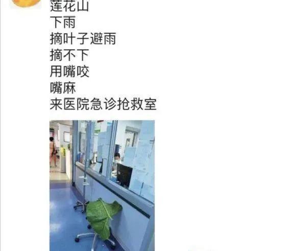 家门口的有毒花，千万别乱碰，有小孩的注意！休闲区蓝鸢梦想 - Www.slyday.coM