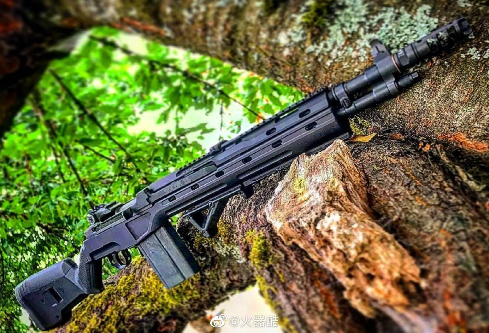 美国春田m1a系列步枪美图