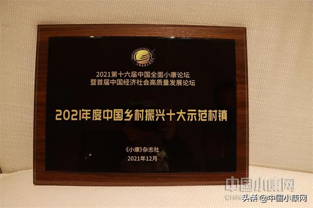 东莞市凤岗镇斩获“2021年度中国乡村振兴十大示范村镇”奖休闲区蓝鸢梦想 - Www.slyday.coM