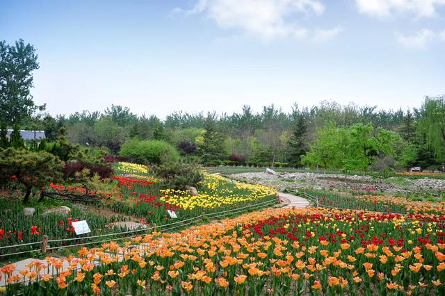 “一墩难求”?济南这对硕大号“冰墩墩”、“雪容融”火了!更火了这个物华天宝的打卡地!休闲区蓝鸢梦想 - Www.slyday.coM “一墩难求”?济南这对硕大号“冰墩墩”、“雪容融”火了!更火了这个物华天宝的打卡地!休闲区蓝鸢梦想 - Www.slyday.coM