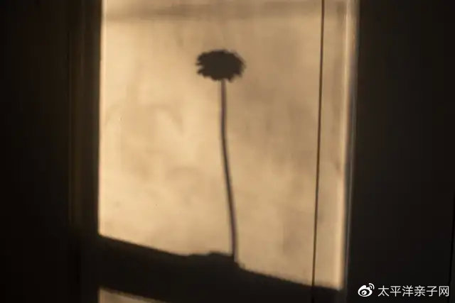 凌晨3点闺蜜闹离婚,原因是老公垃圾桶里没套垃圾袋,至于吗?休闲区蓝鸢梦想 - Www.slyday.coM 凌晨3点闺蜜闹离婚,原因是老公垃圾桶里没套垃圾袋,至于吗?休闲区蓝鸢梦想 - Www.slyday.coM