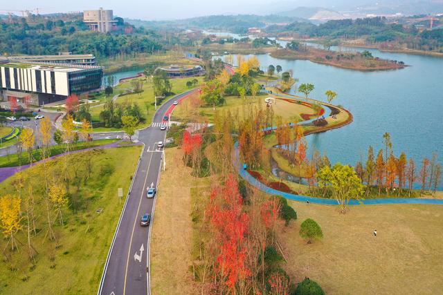 两江新区冬日“秋色”浓 再不来打卡就晚啦休闲区蓝鸢梦想 - Www.slyday.coM