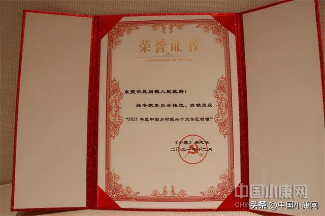 东莞市凤岗镇斩获“2021年度中国乡村振兴十大示范村镇”奖休闲区蓝鸢梦想 - Www.slyday.coM