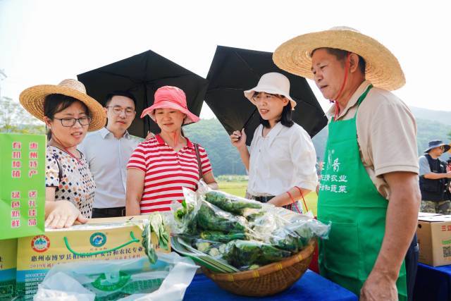 惠州市庆祝2022年“中国农民丰收节”，启动“跟着季节游博罗”活动休闲区蓝鸢梦想 - Www.slyday.coM