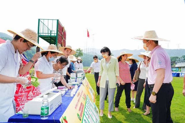 惠州市庆祝2022年“中国农民丰收节”，启动“跟着季节游博罗”活动休闲区蓝鸢梦想 - Www.slyday.coM