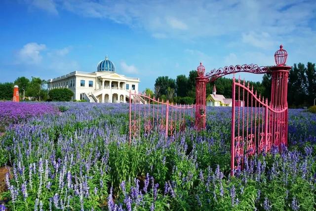 “一墩难求”?济南这对硕大号“冰墩墩”、“雪容融”火了!更火了这个物华天宝的打卡地!休闲区蓝鸢梦想 - Www.slyday.coM “一墩难求”?济南这对硕大号“冰墩墩”、“雪容融”火了!更火了这个物华天宝的打卡地!休闲区蓝鸢梦想 - Www.slyday.coM