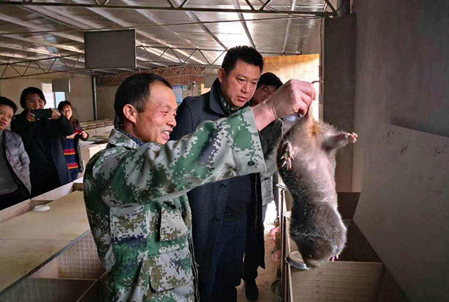 包括:刺猬,猪獾,狗獾,豚鼠,海狸鼠,蓝孔雀,中华蟾蜍,黑眶蟾蜍,齿缘龟