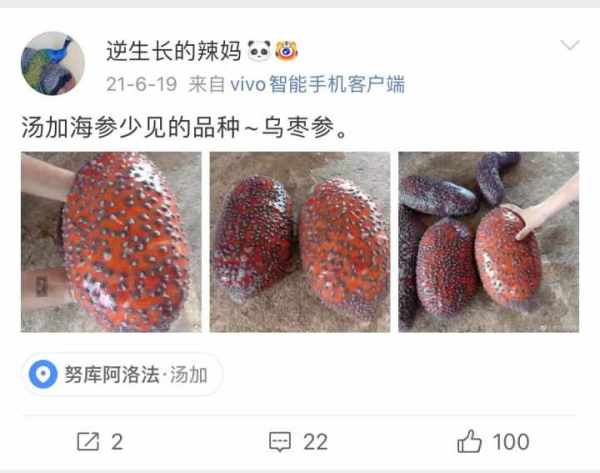 汤加火山爆发，失联三天的中国女子联系家人：一家三口都平安，火山灰飘到家门前休闲区蓝鸢梦想 - Www.slyday.coM