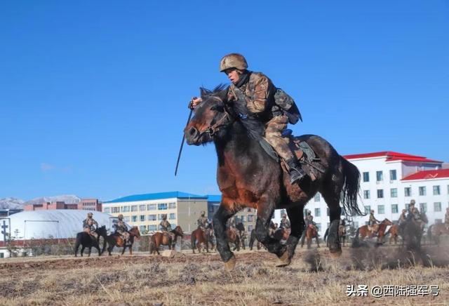 高原劲旅掘金主场出击欲阻击东部黑马黄蜂