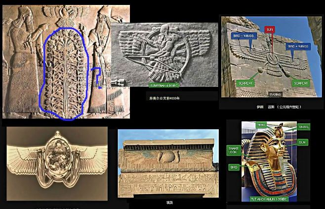 玛雅文明|美尔|地球_新浪网