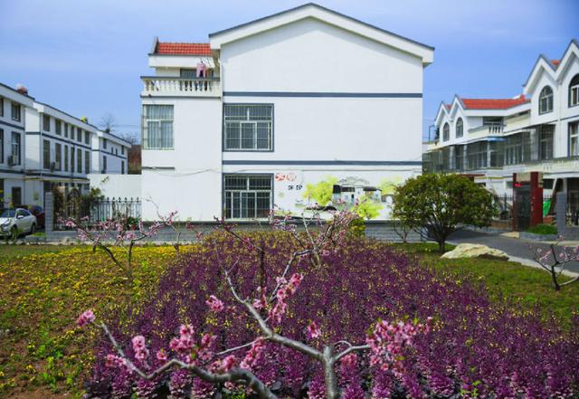 江苏连云港海州区:农房改善绘就乡村振兴美丽画卷