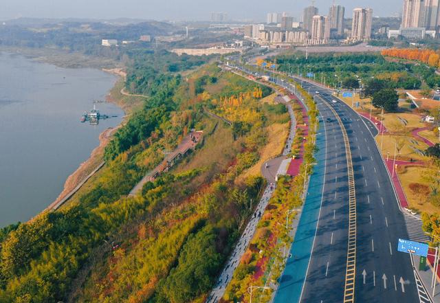 两江新区冬日“秋色”浓 再不来打卡就晚啦休闲区蓝鸢梦想 - Www.slyday.coM