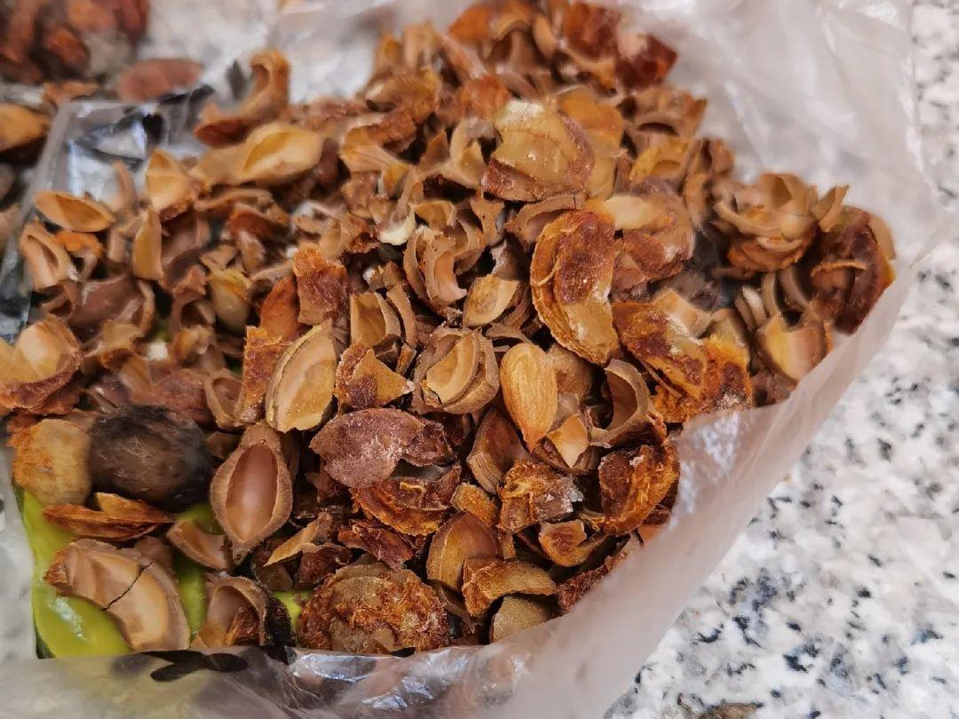 家门口的有毒花，千万别乱碰，有小孩的注意！休闲区蓝鸢梦想 - Www.slyday.coM