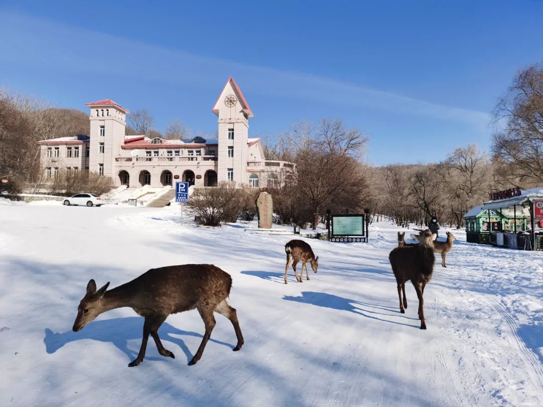 相约未来玉泉国际狩猎场嬉雪谷圆满收官