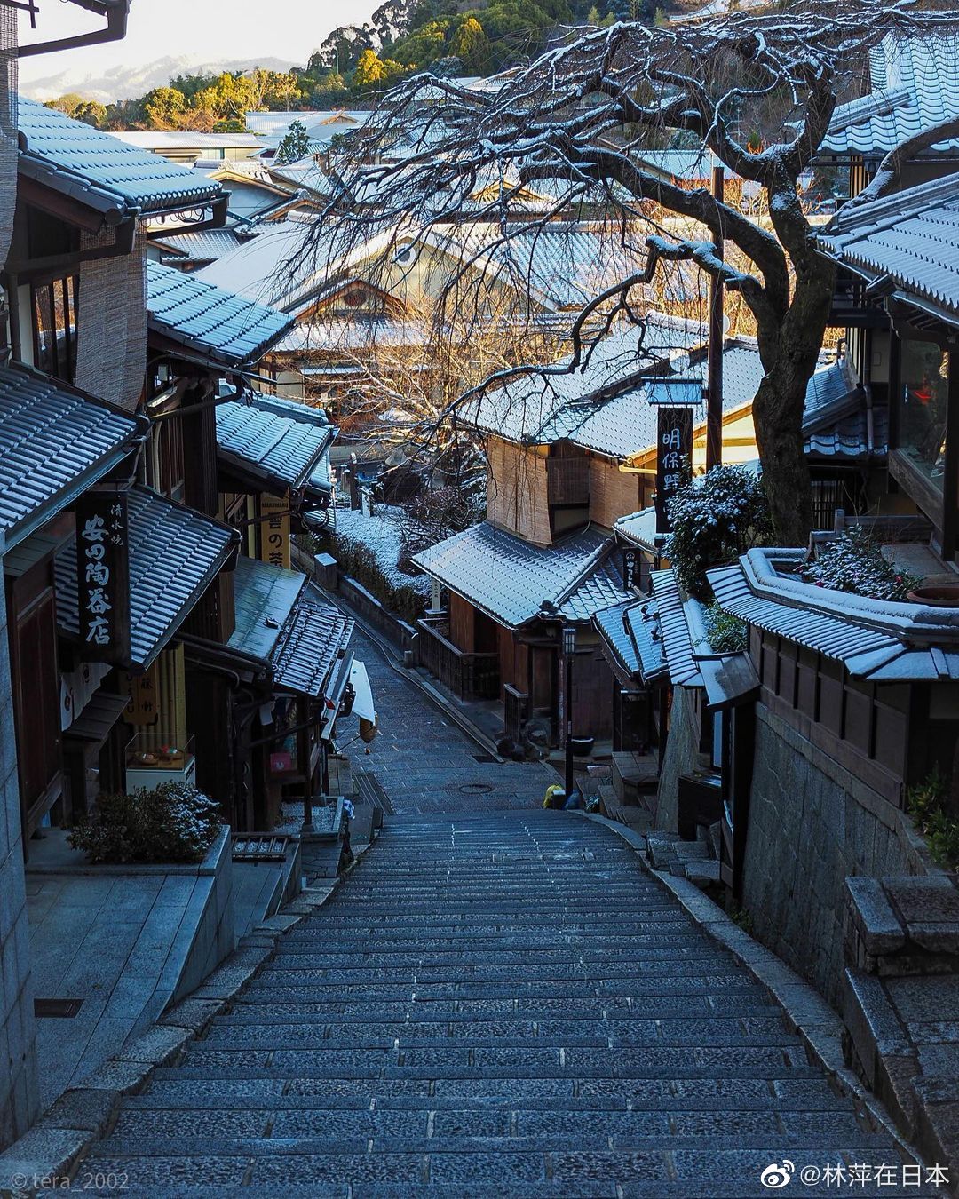 京都冬天古朴的静寂 高清图集 新浪网