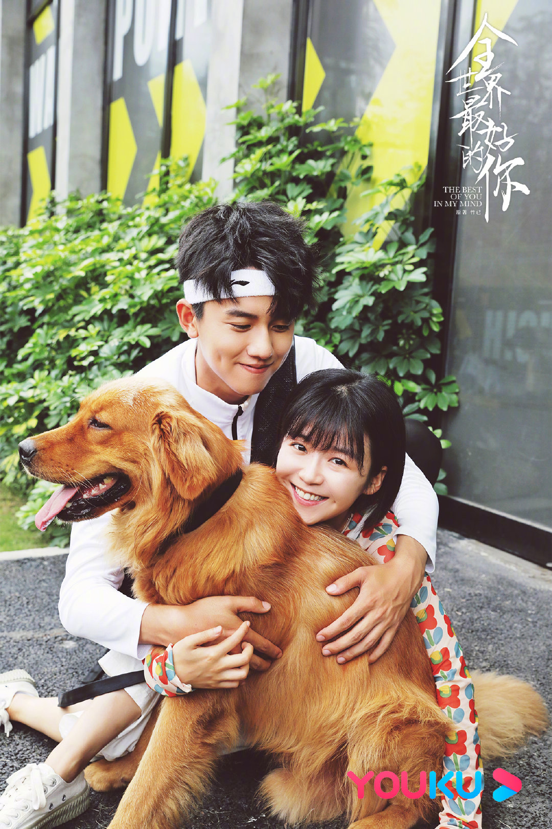 迟迟@宋伊人 放放@张耀gala 正品狗粮来了!