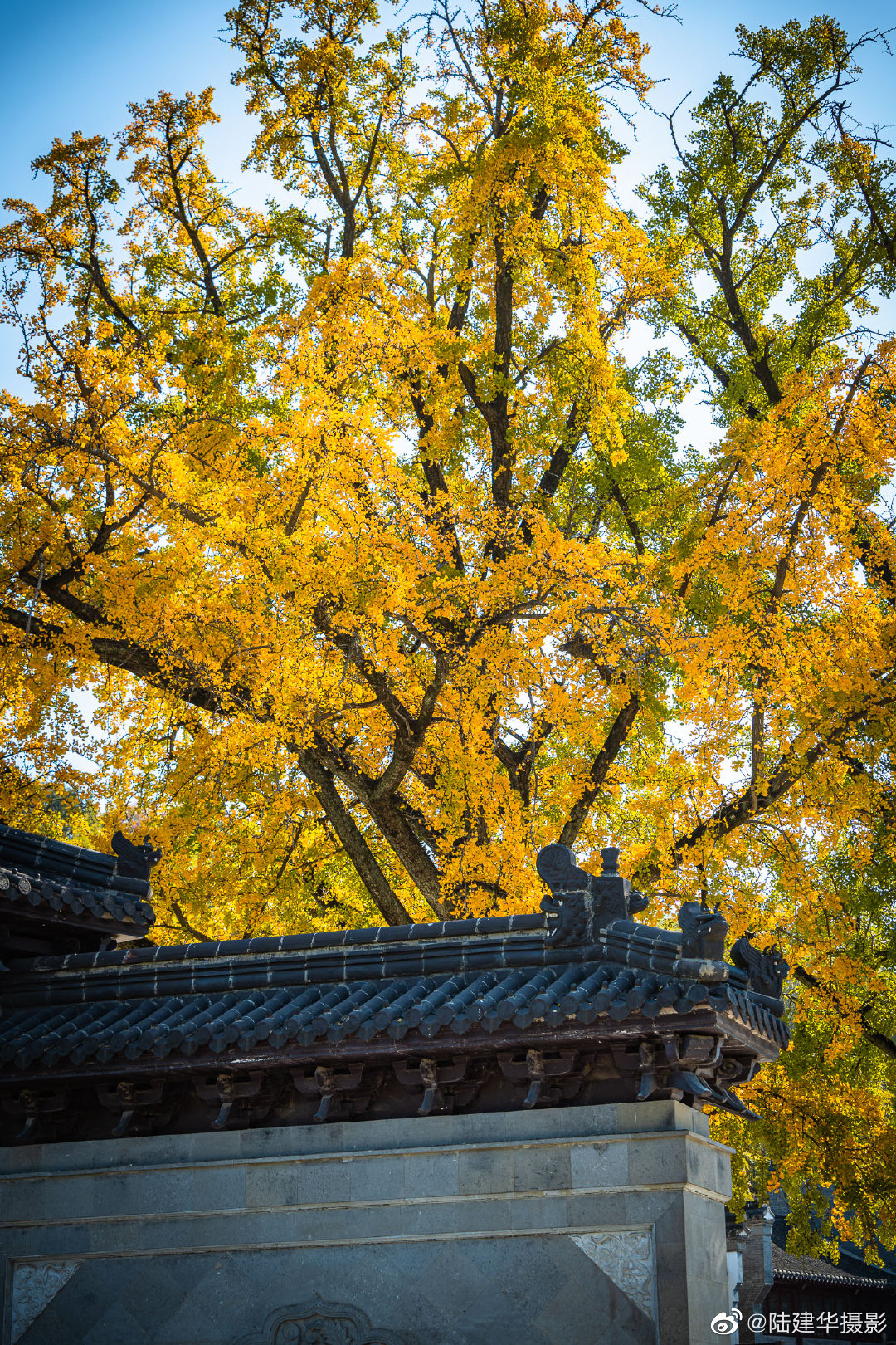 镇江宝华山隆昌寺